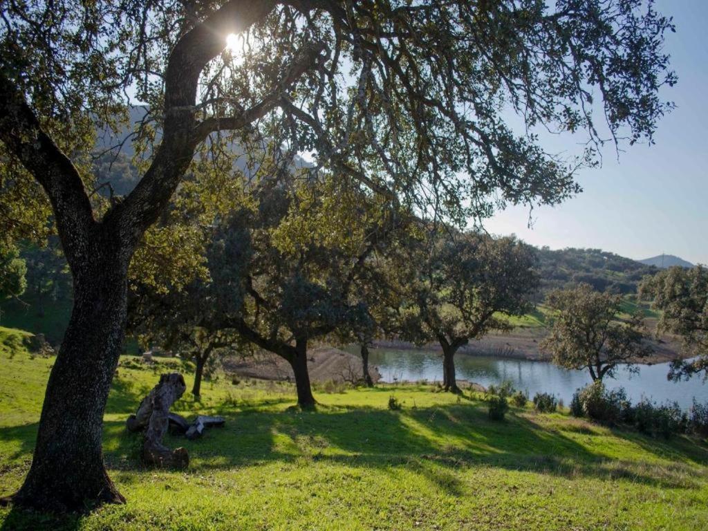 Finca La Vicaria Palomar Суфре Экстерьер фото